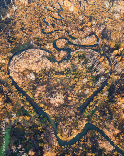 Heart shaped river in Altai territory. Autumn forest. Wonder of nature place, aerial drone view