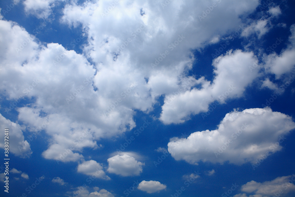 Fototapeta premium 青空と雲