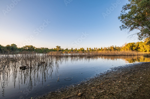 Athalassa Lake, Cyprus with cane and branch water reflections on a beautiful sunny afternoon photo