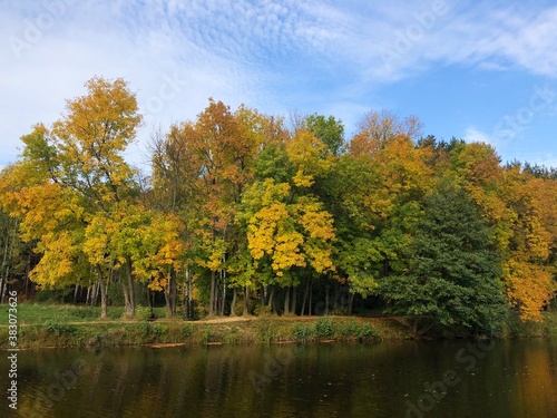 Beautiful landscape of autumn trees in the forest 