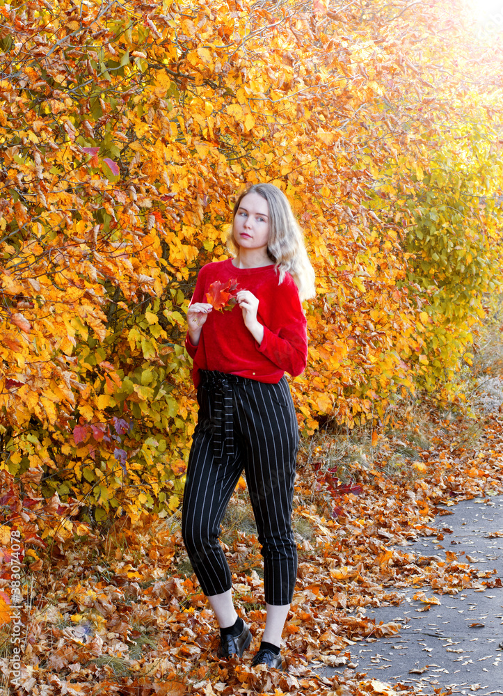 Young woman by the yellow bushes is posing with bright autumn leaves. Enjoying the autumn season Young woman by the yellow bushes is posing with bright autumn leaves. Enjoying the autumn season