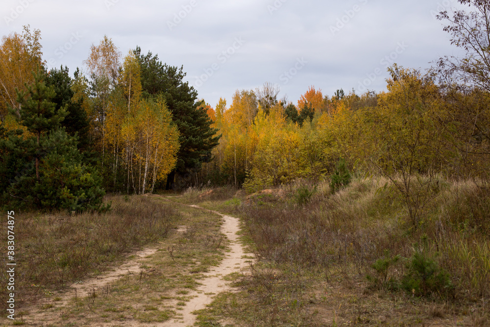 Landscape autumn time