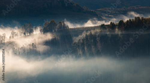 beautiful early autumn nature background foggy trees in the mountains © Melinda Nagy