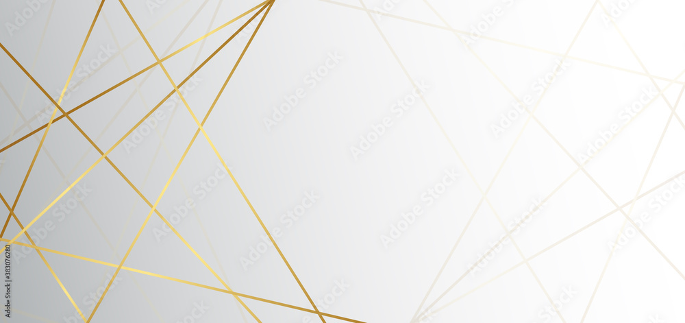 Fototapeta premium Abstract white and grey triangle background with golden line luxury. You can use for ad, poster, template, business presentation.
