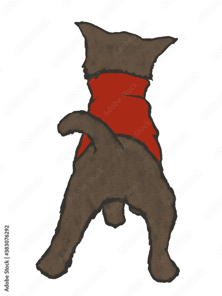 ニットを着た小型犬を後ろから見た手描きイラスト 白バック Stock Illustration Adobe Stock
