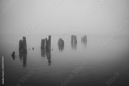 River Sticks