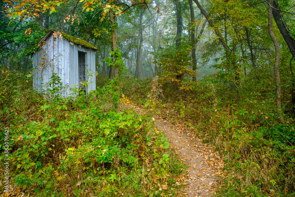 Forest Out House Forest Out House