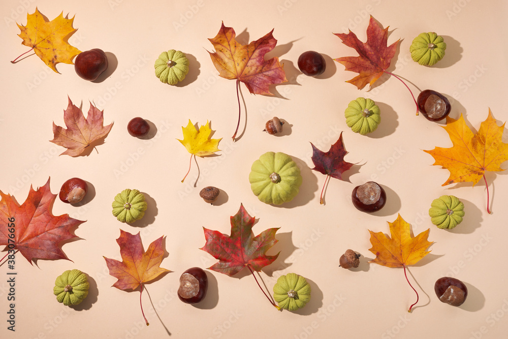 Autumn composition. Dried leaves and pompkins on pastel biege background. Top view. Flat lay. Autumn composition. Dried leaves and pompkins on pastel biege background. Top view. Flat lay.