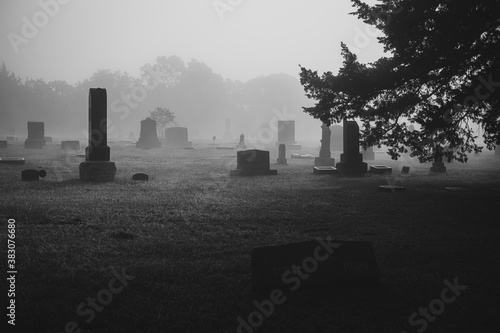 cemetery in fog