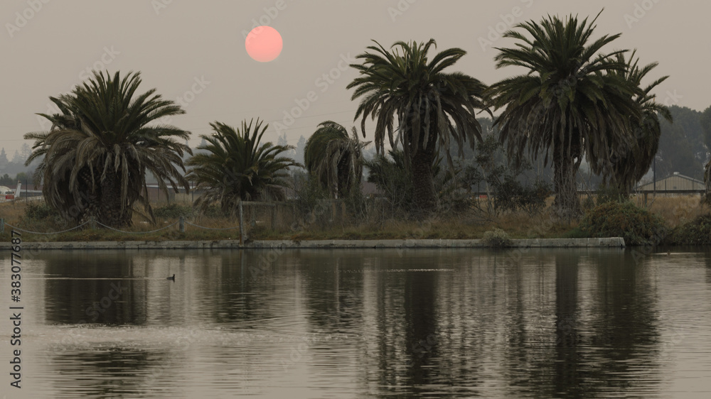 Obraz premium Smoky Skies block the reddish sun over Baylands Nature Preserve during 2020 California Wildfires. Palo Alto, Santa Clara County, California, USA.