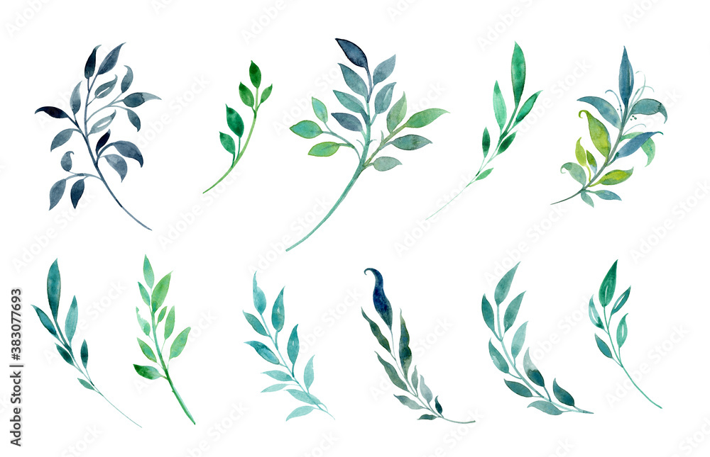 Watercolor twigs on a white background. Blue, turquoise, green branches with leaves. Stylized plants. Set of watercolor plants. Eleven different branches.