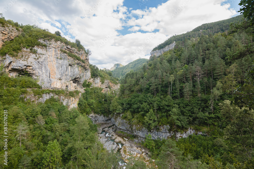 Cliff with trees in a mountain valley.
Cliff with trees in a mountain valley.