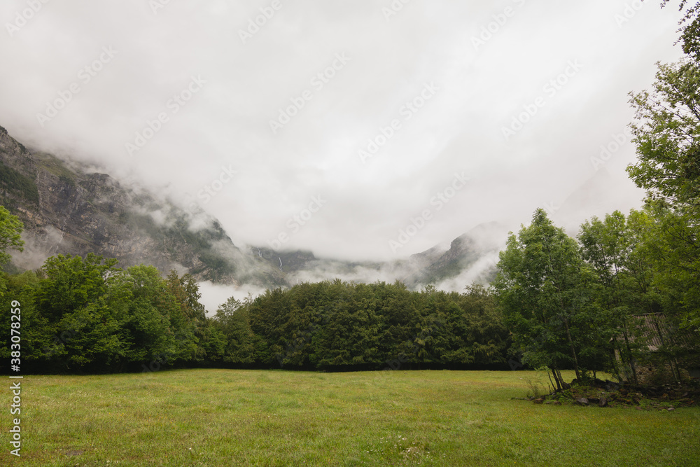 Mountain valley with forest in the background on a rainy day
Mountain valley with forest in the background on a rainy day