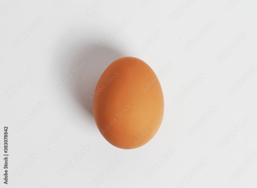 Brown Chicken egg. Top view. White background Brown Chicken egg. Top view. White background