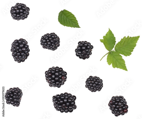 Blackberries isolated on white background, top-down