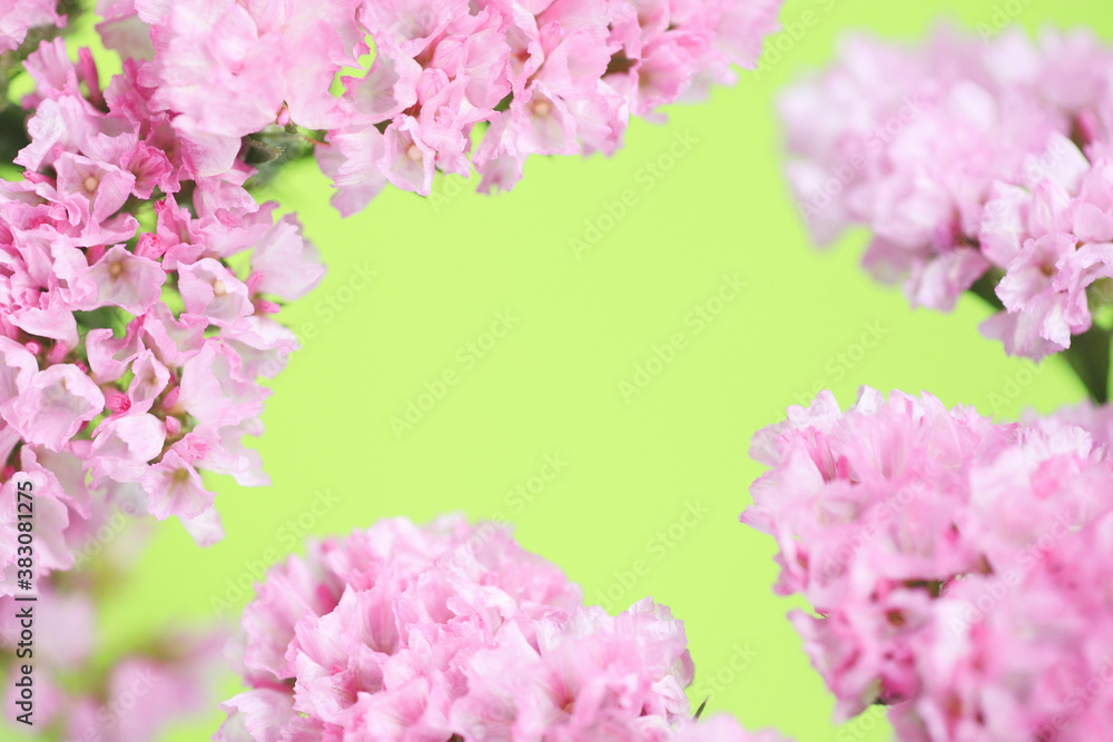 Obraz premium ピンクの花フレーム