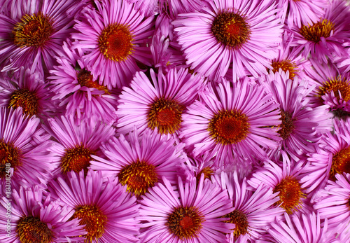 festive background with a bouquet of flowers © albert