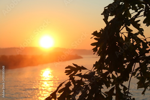 Sunrise Sunset with Tree Silhouette