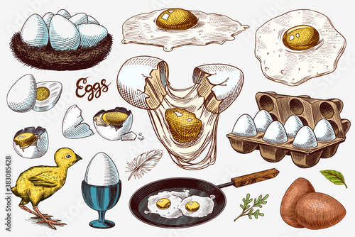 Eggs and chick, farm product, scrambled omelette, packing and nest. Engraved hand drawn vintage sketch. Woodcut style. Vector illustration for menu or poster.