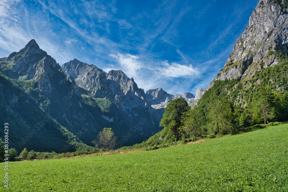 Mountain range Prokletije and alpine meadow