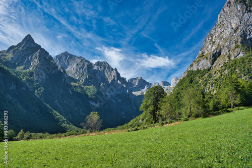 Mountain range Prokletije and alpine meadow