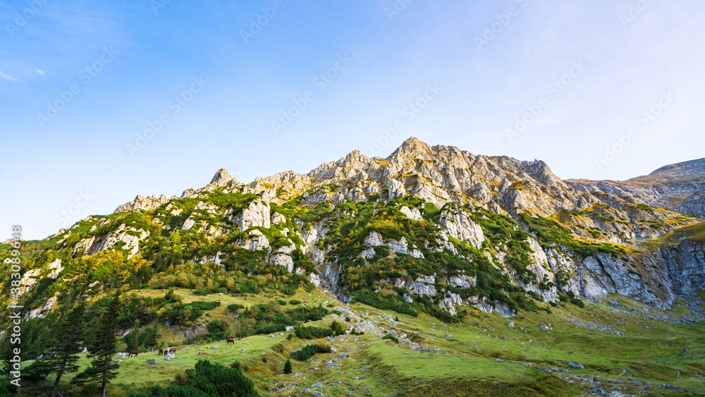 Felswand in den rumänischen Karpaten