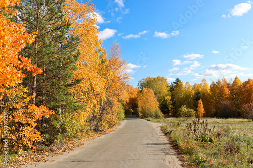 Indian summer - an asphalt path in a city park among trees with bright yellow and orange foliage. Autumn background.