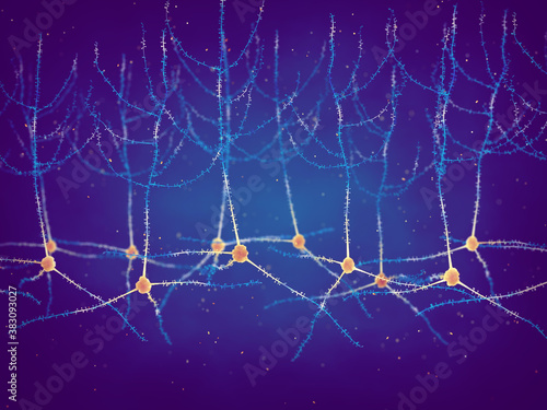 Pyramidal neurons, also known as pyramidal cells, are found in the cerebral cortex, hippocampus and the amygdala, Synaptic plasticity is the ability of neurons to change its function photo