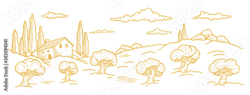 Rural landscape. Hand drawn sketch. Orchard Garden trees. Village field. Countryside. Contour vector line. Horizontal banner.