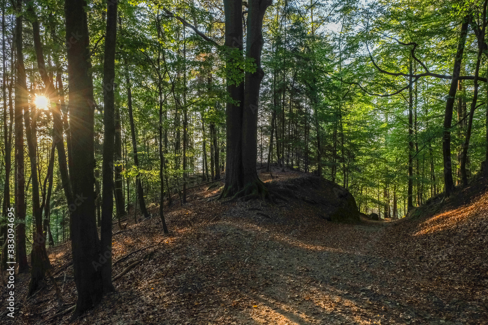 Fototapeta premium Autumn hike in Saxon Switzerland