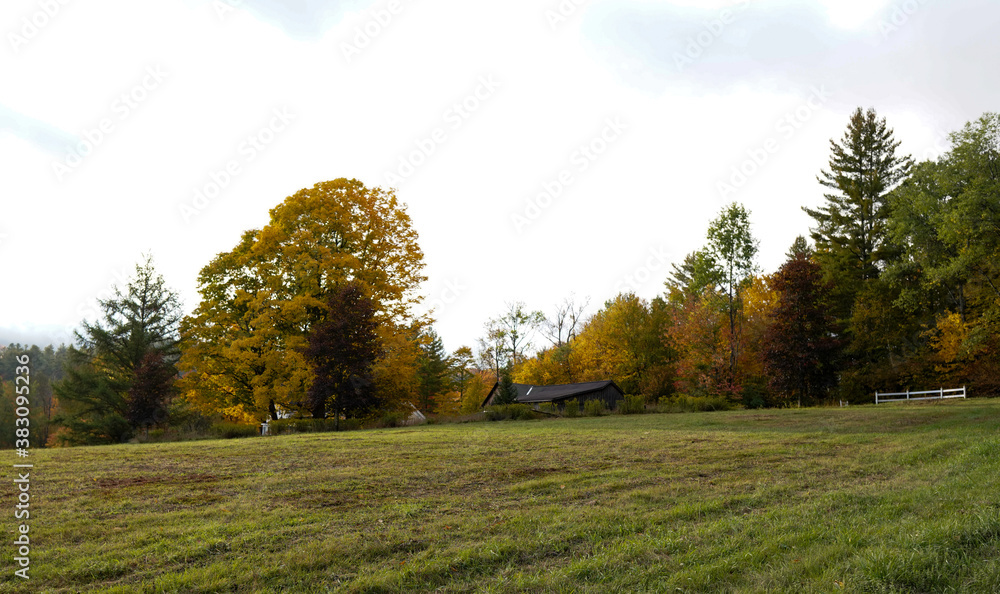 Naklejka premium Fall in Vermont