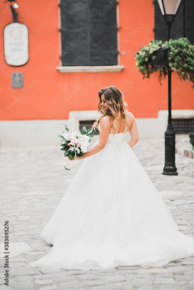 Beautiful fashion bride in wedding dress posing Beautiful fashion bride in wedding dress posing