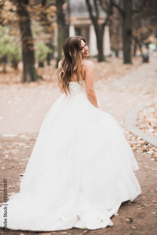 Beautiful bride posing in wedding dress outdoors