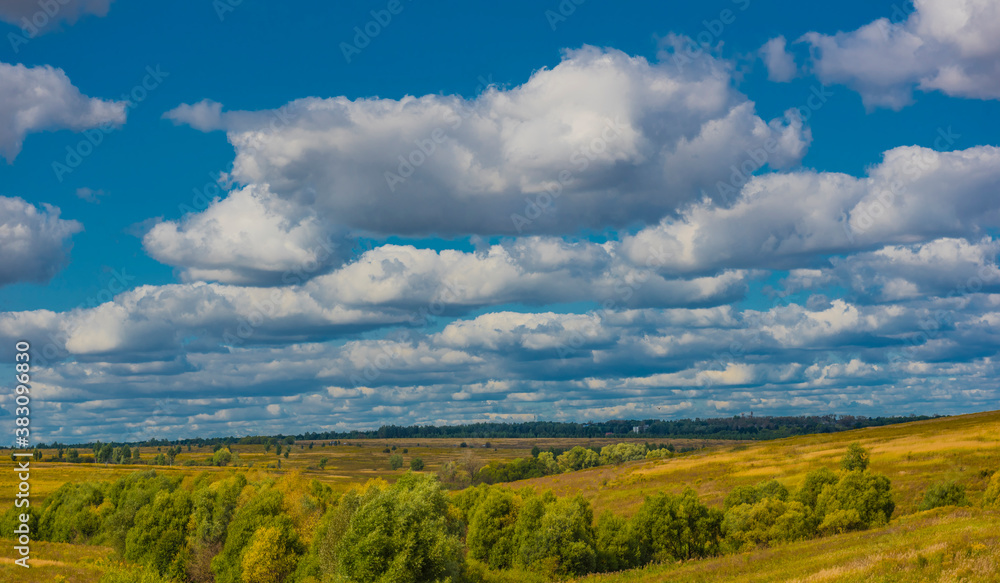 yellow field and blue sky with clouds