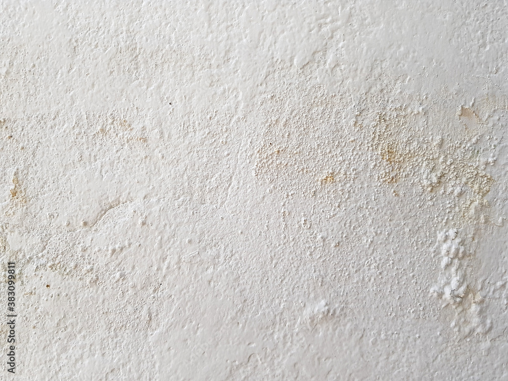 Obraz premium Soft white cement wall for the background.