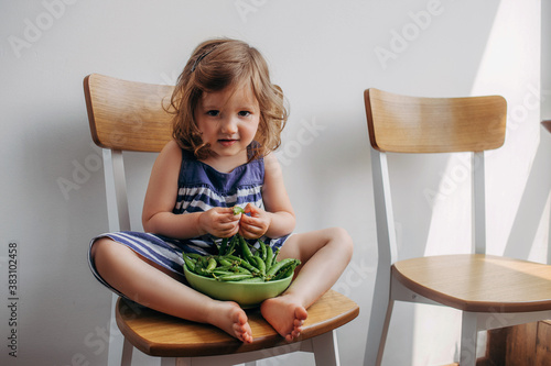 toddler girl sits in the kitchen with plate of green peas and tries to open the strings. child sits on a chair against a gray wall and eating fresh peas