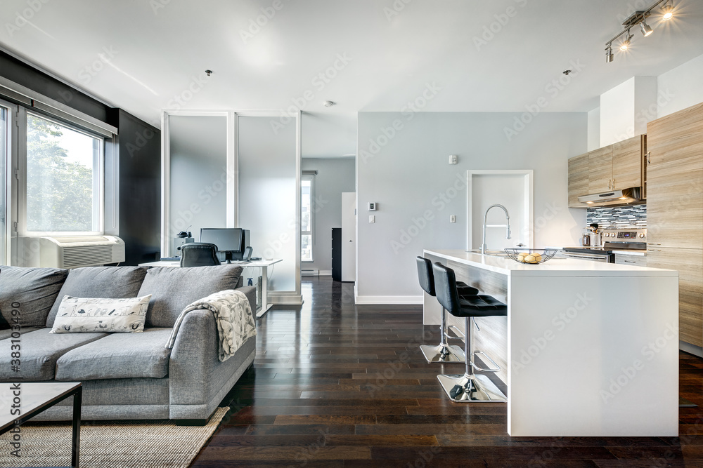 Fototapeta premium Beautiful modern well staged furnished apartment in apartment building, Canadian North American style