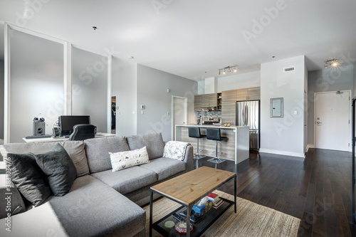 Beautiful modern well staged furnished apartment in apartment building, Canadian North American style © Anatoli