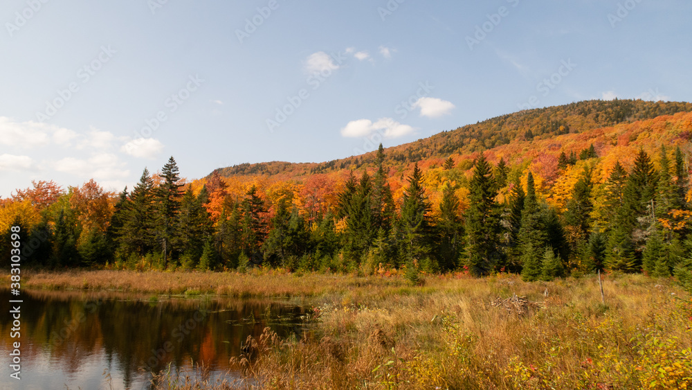 Autumnal view of a small lake surrounded by trees in the Megantic national park, Canada