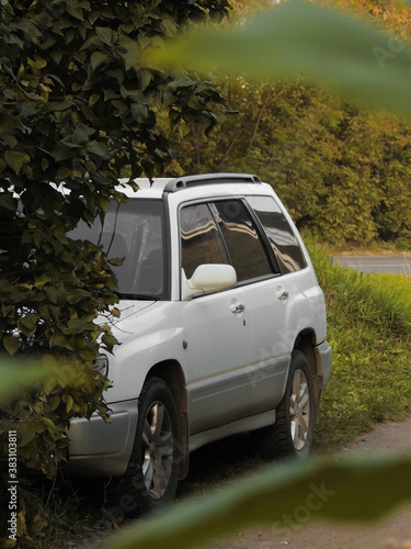 Gray Subaru Forester in green grass and bushes. Silver. Old. Clean.