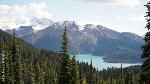Fototapeta Naklejka Na Ścianę i Meble -  Forest Landscapes on the hike to Garibaldi Lake Panorama Ridge near Garibaldi Lake near Squamish and Whistler in British Columbia, East Canada.