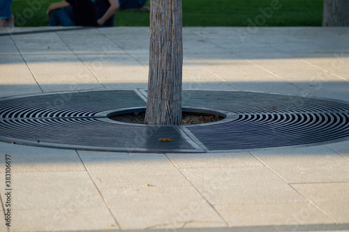 metal grate for draining water on a tree