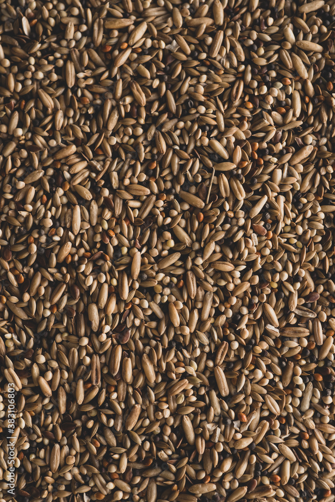 Mixed Bird seeds macro close up,