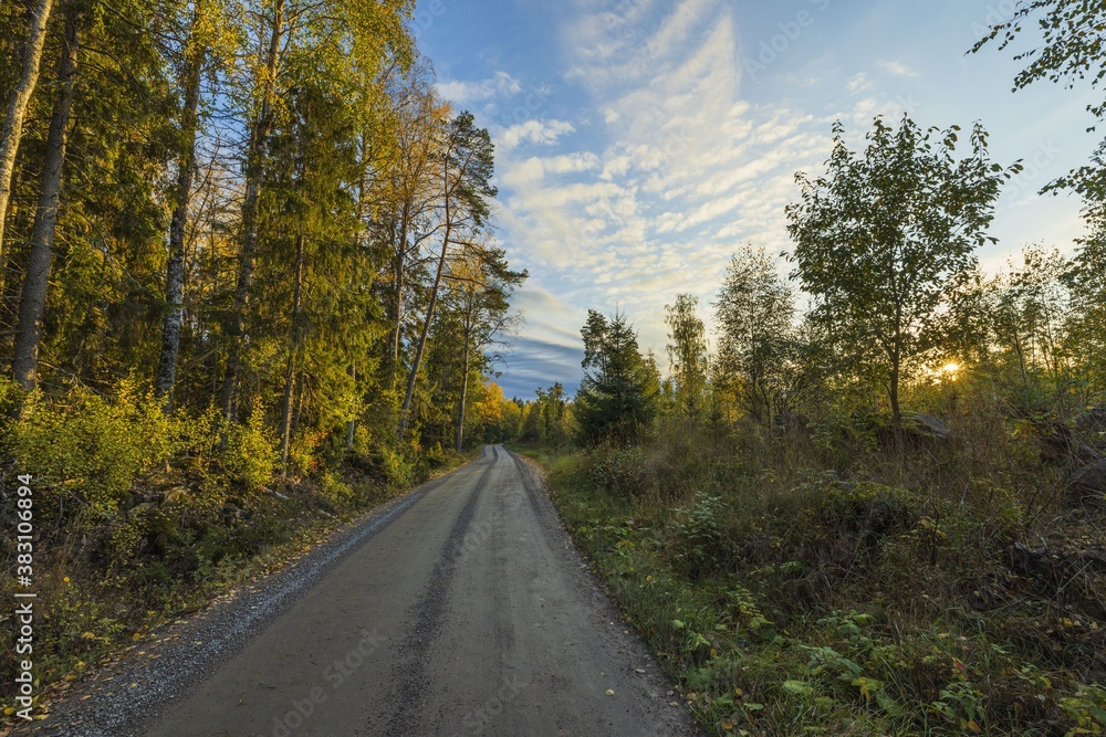 Amazing beauty  sunset on road in autumn forest on blue sky with white clouds. Beautiful autumn nature backgrounds.