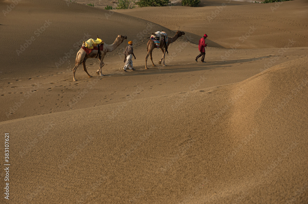 Man with camel walking across sand dunes in Jaisalmer, Rajasthan, India. Man with camel walking across sand dunes in Jaisalmer, Rajasthan, India.