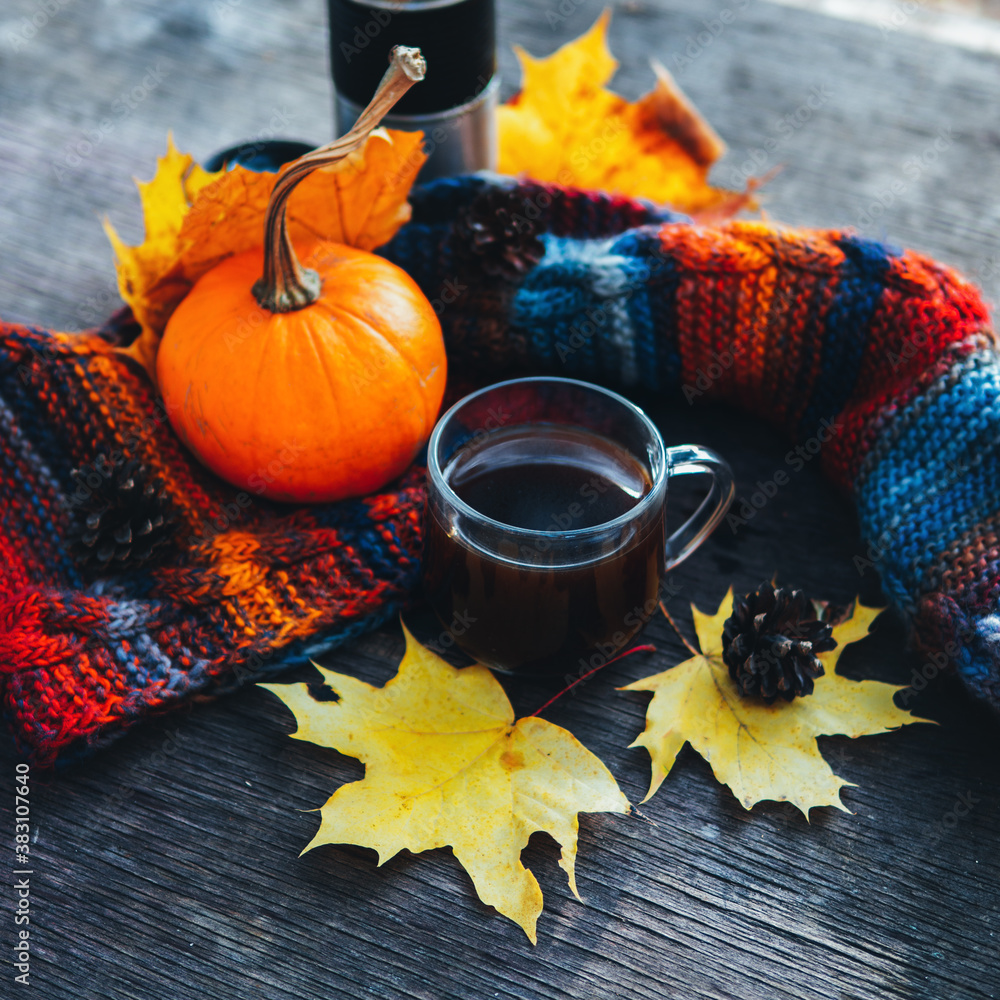 A Cup of hot coffee in the autumn Park. Knitted colorful warm scarf, pumpkin and maple leaves A Cup of hot coffee in the autumn Park. Knitted colorful warm scarf, pumpkin and maple leaves