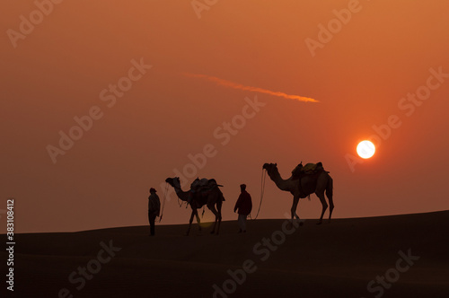 Man and a camel walking across sand dunes in Jaisalmer  Rajasthan  India.