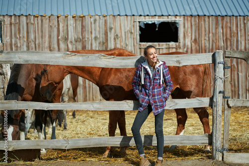 Fototapeta American female breeder standing by stable with horses on countryside farm or ranch