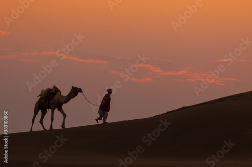 Man and a camel walking across sand dunes in Jaisalmer  Rajasthan  India.