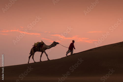 Man and a camel walking across sand dunes in Jaisalmer  Rajasthan  India.